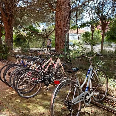 Maricampo Monolocale Con Piscina E Parcheggio Apartment Marina di Campo